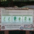 사직공원 유아숲체험원 이미지