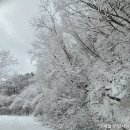 목숨 걸고 장보기... 이미지