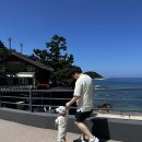 수동고을마을(지경리) | 강원도 강릉양양여행2 휴휴암-지경리해수욕장-주문진 가성비 좋은 수동고을펜션 대서양관