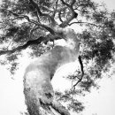 내 벗이 다섯이오. '오우가' 네이버블로그