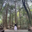 새아란유치원 | 천천히, 나만의 속도로: 요즘의 나와 블로그 이야기