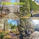 경기둘레길 김포59코스 | 경기 둘레길 가평 21코스 후기 강아지와 함께 걷기(교통, 난이도, 소요시간 총정리)