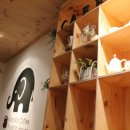 커피 마시는 코끼리 이미지