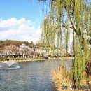 안흥유원지 이미지