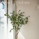 노원 바른 동물의료센터 이미지