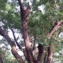 돌마농장 이미지