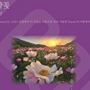 상동읍 꼴두바우공원 이미지