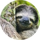 JW 펫푸드 이미지