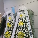 송탄중앙병원 네이버블로그