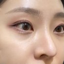 시코르 쿨톤 하이라이트 추천 &lt;스틸라 헤븐스 휴 하이라이터 오퓰런스&gt; 1년 사용 후기