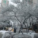 도장골어린이공원 이미지