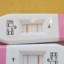 임신확인 후 해야할것 _전라북도 전주