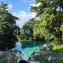 [싱가포르, 센토사] 카펠라 싱가폴 리조트 얼리체크인부터 조식 수영장 부대시설 후기