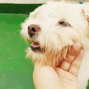 옹기종기 이미지