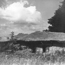 임자중학교 이미지