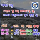 2024년 3월 16일(토) 전남 광양시 "백운산~쫓비산" & 매화마을 주변의 날씨예보 이미지