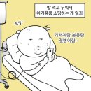 드림바스