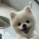 호반카페분식 이미지