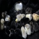 하동슈퍼 이미지