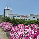 홈플러스 신선A/S센터 성주참외 농장 견학 후기