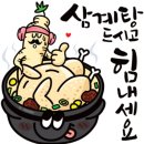 꽃보다 좋은글 이미지