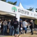 80 이미지