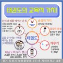 용인대 다온 태권도 이미지