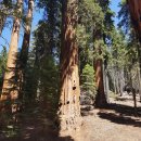 중앙행정사무소 이미지