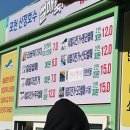 [경기/포천] 아이랑 산정호수 썰매축제, 산정랜드까지 알차게 즐기고 온 후기🛷🐤⛄❄️🩵