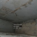 광명 ㅇㅇ아파트 1층 천장쥐 퇴치 작업 출동 에이젯클린 후기