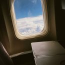 한장한코 | 일본여행 돼지코 한 달 써본 솔직 후기
