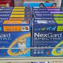 서정온누리약국 이미지