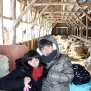 창훈목장 이미지