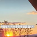 청솔정 네이버블로그