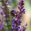 초막골생태공원 이미지