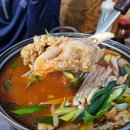 씨월드 피시 이미지