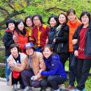 삼서중학교 이미지