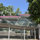 세븐일레븐(김해동상점) | 25.06 : 싱가포르 혼자여행(8) 마지막 날 - 멀라이언 파크/점보시푸드/창이공항폭포/미스터코코넛...