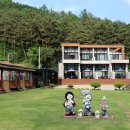 평창베니스 네이버블로그