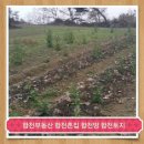 【합천부동산】 ※합천토지【합천땅】【창녕부동산】합천전원주택지】 이미지