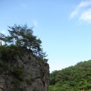 돈통마늘보쌈철원동송점 이미지