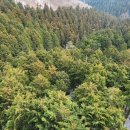 통나무펜션&편백쉼터 이미지