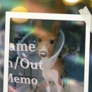 판교 P&P 동물병원 이미지