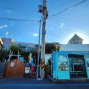 플로리다 봉봉 이미지