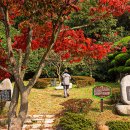 삼학도 이난영 공원 이미지