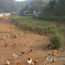 행복한농장 이미지