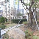 방배로 14 (6) 이미지