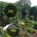 산아래글램핑 이미지