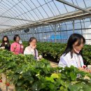 달성군청소년센터 이미지