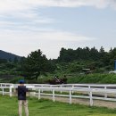 아톰목장 이미지